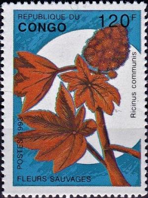 Colnect-4586-832-Ricinus-communis.jpg