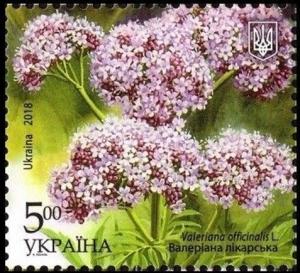 Colnect-5089-221-Valeriana-officinalis-L.jpg