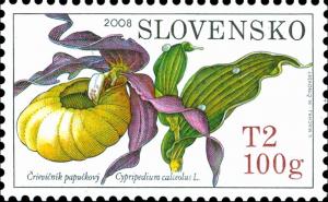 Colnect-5170-387-Cypripedium-calceolus.jpg