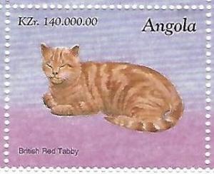 Colnect-5254-461-British-Red-Tabby.jpg