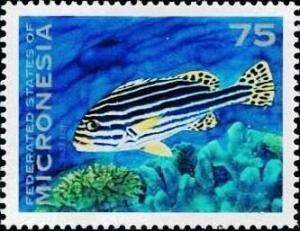 Colnect-5576-551-Oriental-sweetlips.jpg