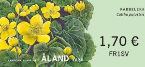 Colnect-6441-120-Marsh-marigold-Caltha-palustris.jpg