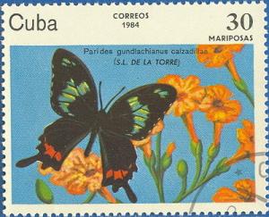 Colnect-679-209-Cuban-Cattleheart-Parides-gundlachianus-ssp-calzadillae.jpg