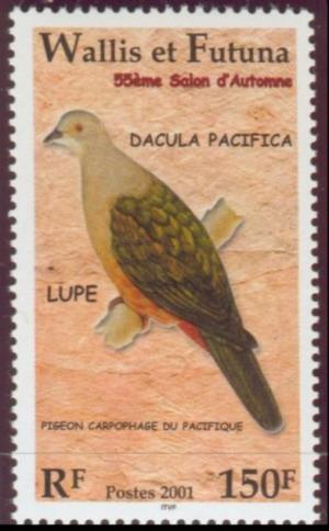 Colnect-900-252-Pacific-Imperial-pigeon-Ducula-pacifica.jpg