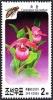 Colnect-2295-073-Cypripedium-macranthum.jpg