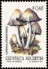 Colnect-5020-998-Coprinus-atramentarius.jpg