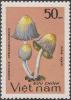 Colnect-1577-012-Coprinus-atramentarius.jpg