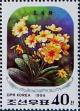 Colnect-2710-568-Primula-polyantha.jpg