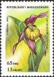 Colnect-4311-960-Cypripedium-calceolus.jpg