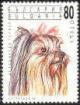 Colnect-449-622-Yorkshire-Terrier-Canis-lupus-familiaris.jpg