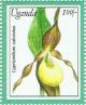 Colnect-5550-514-Cypripedium-calceolus.jpg