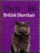 Colnect-7374-234-British-Shorthair.jpg