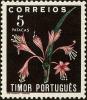 Colnect-4223-214-Crinum-longiflorum.jpg