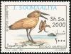 Colnect-1744-807-Hamerkop-Scopus-umbretta.jpg