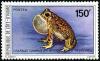 Colnect-2757-467-Square-marked-Toad-Bufo-regularis.jpg