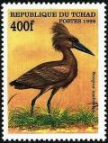 Colnect-2072-297-Hamerkop-Scopus-umbretta.jpg