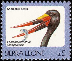 Colnect-1617-989-Saddle-billed-Stork-Ephippiorhynchus-senegalensis.jpg