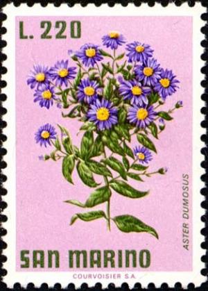 Colnect-1874-666-New-York-Aster-Aster-dumosus.jpg