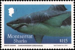 Colnect-2757-362-White-Shark-Carcharodon-carcharias.jpg