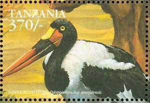 Colnect-3746-348-Saddle-billed-Stork-Ephippiorhynchus-senegalensis.jpg