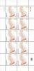 Colnect-721-338-Mini-Sheet-with-10x-Turkish-Van-Felis-silvestris-catus-Ove.jpg