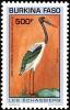 Colnect-2328-748-Saddle-billed-Stork-Ephippiorhynchus-senegalensis.jpg