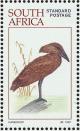 Colnect-1791-737-Hamerkop-Scopus-umbretta.jpg