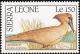 Colnect-2194-115-Hamerkop-Scopus-umbretta.jpg