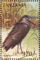 Colnect-3746-314-Hamerkop-Scopus-umbretta.jpg