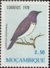 Colnect-1115-770-Violet-backed-Starling-Cinnyricinclus-leucogaster.jpg