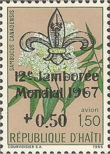 Colnect-3600-905-12th-World-Scout-Jamboree-1967.jpg