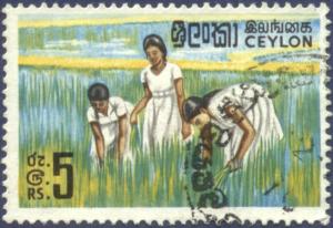 Colnect-1429-525-Girls-in-Rice-Field.jpg