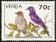 Colnect-751-661-Violet-backed-Starling-Cinnyricinclus-leucogaster.jpg