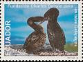 Colnect-1712-919-Flightless-Cormorant-Phalacrocorax-harrisi.jpg