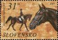 Colnect-5170-973-Slovakian-Warmblood-Equus-ferus-caballus.jpg