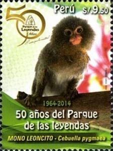 Colnect-2790-068-Pygmy-Marmoset-Cebuella-pygmaea.jpg