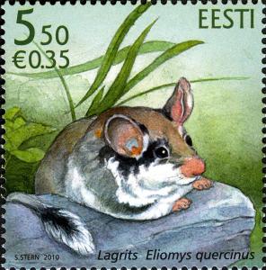 Colnect-5932-590-Garden-Dormouse-Eliomys-quercinus.jpg