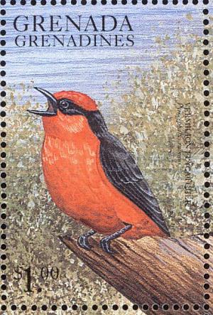 Colnect-5277-156-Vermilion-flycatcher.jpg