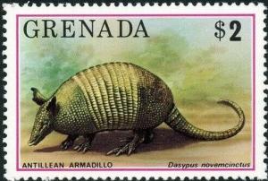 Colnect-5687-368-Nine-banded-Armadillo-Dasypus-novemcinctus.jpg