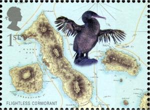 Colnect-608-209-Flightless-Cormorant-Nannopterum-harrisi-.jpg