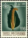 Colnect-2823-830-International-Rice-Year.jpg