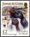 Colnect-4564-333-Northern-Rockhopper-Penguin.jpg