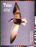 Colnect-3669-333-Whiskered-Tern%C2%A0%C2%A0%C2%A0%C2%A0Chlidonias-hybrida.jpg