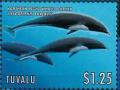 Colnect-6297-704-Northern-Right-Whale-Dolphin.jpg