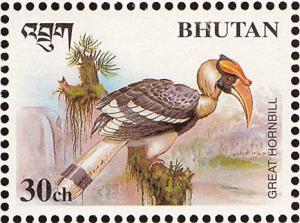 Colnect-1412-479-Great-Hornbill-Buceros-bicornis.jpg