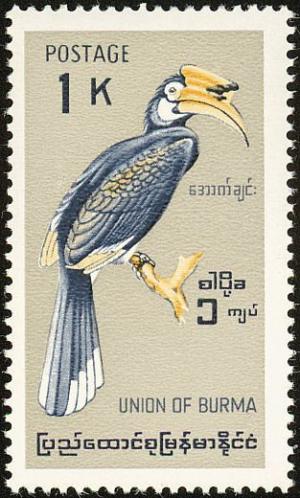 Colnect-1503-870-Malabar-Pied-Hornbill-Anthracoceros-coronatus.jpg