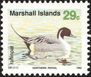 Colnect-1599-528-Northern-Pintail-Anas-acuta.jpg