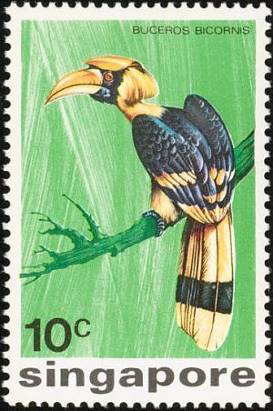 Colnect-1623-937-Great-Hornbill-Buceros-bicornis.jpg