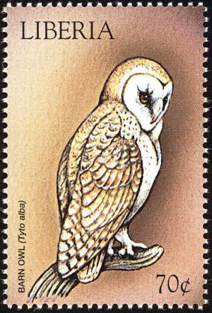 Colnect-1641-824-Western-Barn-Owl-Tyto-alba.jpg