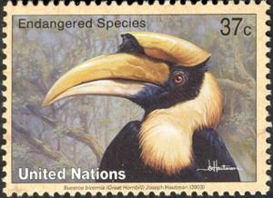 Colnect-2571-493-Great-Hornbill-Buceros-bicornis.jpg